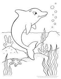 If you want colored picture to print then click print link for. Dolphin Coloring Pages Dolphin Coloring Pages Spiderman Coloring Animal Coloring Pages