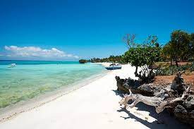 Pemba paradise offers the tour and it was the highlight of our trip. Die 5 Besten Strand Hotels In Pemba Island 2021 Mit Preisen