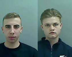 Locked up this year so far: Drugged-up killers and machete-wielding gang  members among those jailed