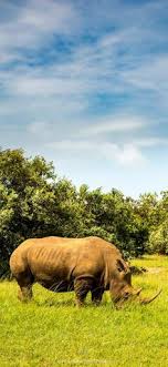 Check spelling or type a new query. 440 Ide Vivo Lockscreen Di 2021 Dinding Penahan Dexter Morgan Orphan Black