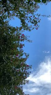 حبك سماء sky aesthetic outdoor sky