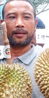 Petani Lebak berhasil kembangkan durian varietas unggul jenis Sangkanwangi 