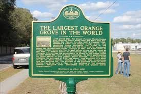 Florida orange groves grapefruit cracker hammock crackle grapefruit wine(sparkling). The Largest Orange Grove In The World Florida Historical Markers On Waymarking Com