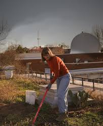 Georgia Landscape Magazine 2024 by UGAGeorgiaLandscapeMagazine