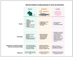 Image result for Warneckea sousae