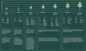 Maybe you would like to learn more about one of these? Rootstocks For Fruit Frank P Matthews