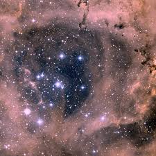 Image result for Searsia nebulosa