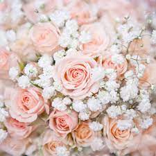 Read our floral care tips for fresh carnations for more info. Soft Pink Wedding Bouquet With Rose Bush And Little White Flower Stock Photo Picture And Royalty Free Image Image 34397518