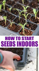 The Complete Guide To Indoor Seed Starting Starting Vegetable Seeds Seed Starting Starting Seeds Indoors