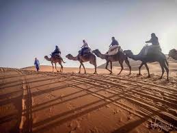 The bus(supratours) depart from fes to merzouga daily at 22:00 night and arrive a merzouga at 06:00 morning. Camel Trekking In Morocco Experience A Sahara Desert Tour