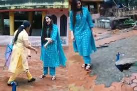 Peacock is the most disappointing streaming service launch of 2020, so far. Bigg Boss Contestant Digangana Suryavanshi Attacked By Peacock Fans Can