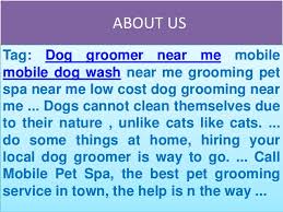 Serving las vegas and the surrounding area. Dog Wash Sherman Oaks Mobile Pet Grooming Ca Mobile Pet Groomer
