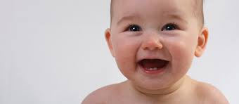 Elles tombent entre 6 et 9 c'est ensuite au tour des canines qui tombent entre 10 et 12 ans pour être remplacées dès l'âge de 11 à 13 ans. Le Developpement Des Dents