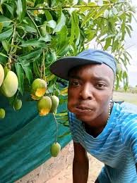 My boss thinks I'm stupid. He sent me to buy 2kg of sugar yesterday but i  found only 1kgs at the shop so I didn't buy. When I came back he was