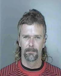 ᐅ Illinois Criminal Records 2009-2025