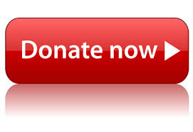 Image result for donate button picture