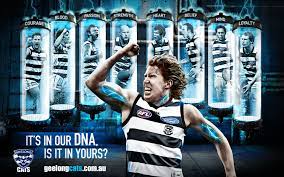 File_download red cat with book on gray background. Geelong Football Club Wallpapers Wallpaper Cave