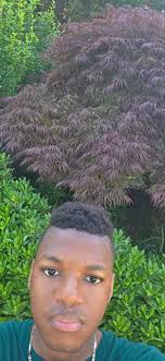 I live in great falls Montana