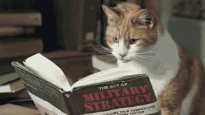 This Kitty Would Probably Like The Art Of War Cat Reading Best Cat Gifs Cats