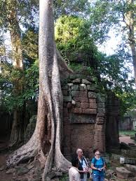 Image result for Klainedoxa