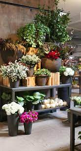 Whether it is a get well flower gift basket, mother's day flowers, seasonal centerpiece for the holidays or something that says i love you back bay florist is the leading florist in boston, ma and will make sure to send quality flowers in a stunning arrangement. Chestnut Hill Newton Ma Floral Gallery Winston Flowers