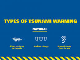 Tsunami watch issued for hawaii after 8.2 magnitude earthquake hits alaska peninsula (july 29, 2021). Tsunami Get Ready Queensland