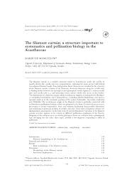 Image result for Isoglossa pawekiae