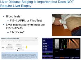 hcv new drugs fibroscan understanding the results