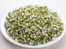 is it safe to eat bean sprouts during pregnancy babycenter