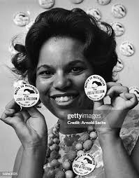 Civil rights campaigner and organizer Karen House holds up buttons... News  Photo