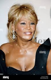 Houston whitney hi-res stock photography and images