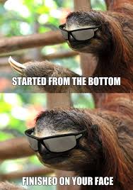Funny Dirty Sloth Meme Photo Quotesbae