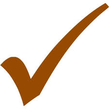 Brown check mark 3 icon - Free brown check mark icons