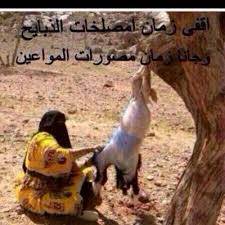 قروب شعر واتساب Ddd511 Twitter