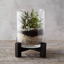 Open Terrarium With Stand Terrain In 2020 Open Terrariums Plant In Glass Succulents In Glass