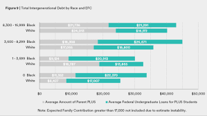 a federal college loan program is exacerbating the racial