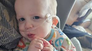 Fundraiser by Megan Doyle : Donate to Aid Wrigley's Healing Journey