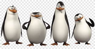 Бен стиллер, крис рок, дэвид швиммер и др. Kowalski Pinguin Skipper Madagaskar Film Pinguin Tiere Animation Png Pngegg