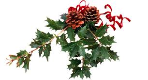 Image result for vischio