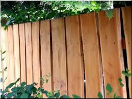 Pin By Carl Howard Diy Fencing On Aitaa Garden Fence Panels Easy Fence Fence Landscaping