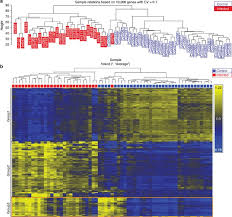 Image result for Neonatal Worksheets