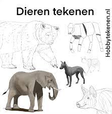 We did not find results for: Realistische Dieren Leren Tekenen In Stappen Hobbytekenen Nl Hobbytekenen Nl