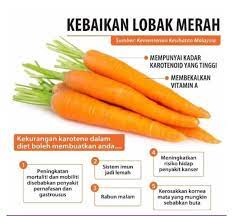 Vitamin a dan antioksidan mencegah jerawat, kulit kering serta kedutan awal dan menjadikan kulit tampak lebih. Lobak Merah Carrot Lobak Merah Atau Jambu Special Ori Facebook