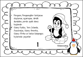 Mrvzimo Adli Kullanicinin Animals Panosundaki Pin Penguen Hayvanlar Hayvan