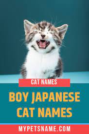Boy Japanese Cat Names Cat Names Japanese Cat Kitten Names