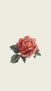 All Is Always Now Flower Phone Wallpaper Minimalist Wallpaper Aesthetic Iphone Wallpaper