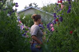 Generally, plant at the same depth as the soil level in the container. Ask The Expert 7 Tips To Grow Cut Flowers In A Tiny Garden From Floret Farm Gardenista