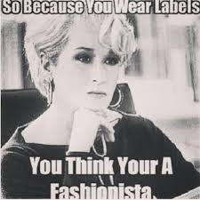 22 Fashion Memes To Get You Ready For Nyfw Fashion Quotes Fashion Words Funny Fashion