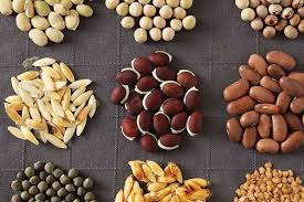 Ask your local food store if they have wood crate pallets; Vegetable Seeds Which To Sow Outdoors Vs Indoors Gardener S Path