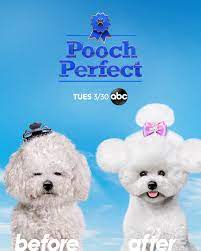 Click the link below to see what others say about pooch perfect: Pooch Perfect Watch A New Teaser For The Rebel Wilson Hosted Dog Grooming Competition Give Me My Remote Give Me My Remote